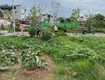 Rẻ nhất khu tái định cư thư lâm, đông anh   vị trí đẹp   gia...