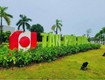 Bán lô đất mặt phố kđt tân phú hưng, ph tân hưng, tp hd, 67.5m2,...