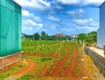 3 sào   12m mặt tiền DT 724 trung tâm tân hội, đức trọng cũ, lâm đồng...