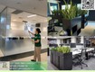 Vệ sinh văn phòng nhà xưởng   Chăm sóc cây xanh văn phòng Đồng Nai 