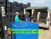 Pallet Nhựa Giá Rẻ Nhất TP.HCM   Bao vận chuyển nhanh 24/7 