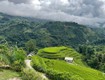 Bán 1.235m  Đất Tả Van, Sa Pa   316m  Đất Ở   View Ruộng...
