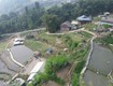 Đất Trung Tâm Tả Van, Sa Pa   1.297m    400m  Đất Ở ...