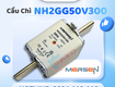 Cầu chì mersen nh2gg50v300