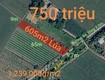 Bán lô đất lúa chuyển thổ đường bê tông 2,5m giá 750 triệu 