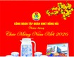 Chuyên nhận in ấn bao bì, túi, hộp carton, túi ni lon, hộp quà tặng,...