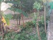 ⭐chính chủ bán gấp đất nền tiền lân 14a, xã bà điểm, tp.hcm hóc...