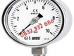 Đồng hồ áp suất Wise P252 Dantek chính hãng giá cạnh tranh cho khách hàng tại Nghệ An...