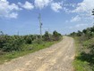 Chính chủ bán trang trại   khu nghỉ dưỡng 10,3ha   giá chỉ 23,5 tỷ 