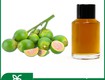 Chiết xuất quả cau nguyên liệu mỹ phẩm thiên nhiên