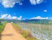 Hẻm phúc thọ, lâm hà, lâm đồng 7.500m2