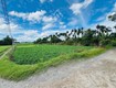 D2707  đất ven sông 4819m2 thạnh xuân 33 q12   giá 2x tỷ 
