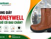 Mang giày honeywell cả ngày có thoải mái không