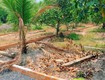 đất sát khu công nghiệp   có sẵn thổ cư   giá chỉ...