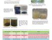 GREE Cung Cấp Polymer Nano Green Anion Trong Xử Lý Nước Thải Và Quá Trình Ép Bùn giá...