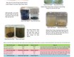 Gree cung cấp polymer nano green cation trong xử lý nước thải và quá...