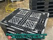 Xả Kho Pallet Nhựa Tân Bình   Giá Cạnh Tranh, Ưu Đãi Khủng, Giao Miễn Phí 