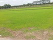 Chính chủ cần bán lô đất đẹp tại ấp an đước   xã an tịnh  ...
