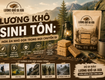 Lương khô sinh tồn: món ăn nhỏ gọn trong mọi chuyến đi 