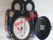 đồng hồ đo nước thải t flow dantek chính hãng giá cạnh tranh cho khách...