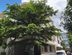 Cần cho thuê tòa nhà văn phòng có vị trí đẹp   phường an...