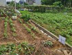 Lô đất hiếm lại yên, hoài đức   gần hồ, đường ô tô 
