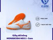 Top giày đá bóng phủi đáng chú ý năm 2026 