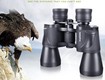 ông nhòm angeleyes gyrfalcon 10 50 fully coated 