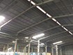 17. rbw   cho thuê kho ngoài kcn, kv bãi chân thật phương đông, đình vũ, hải...