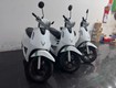 Cho thuê xe máy điện vinfast evo 50cc đà nẵng 
