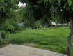 Chính chủ cho thuê đất ruộng mặt tiền đường nguyễn văn bứa, xã xuân thới sơn, huyện hóc...