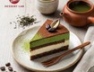 Matcha uji tiramisu mousse 
