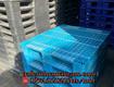 Pallet nhựa lâm đồng giá cực rẻ chất lượng cực xịn, mua là...