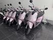 Cho thuê xe máy điện vinfast evo 50cc