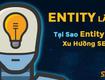 Dịch vụ seo entity hỗ trợ seo tổng thể hiệu quả như thế nào