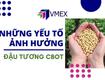 Các yếu tố ảnh hưởng đến giá đậu tương cbot