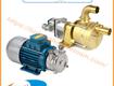 Máy bơm điện tellarini nhà phân phối bơm tellarini