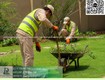 Cắt cỏ chăm sóc cây xanh kcn lộc an bình sơn long thành đông nai...