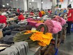 Sỉ ví da bò   Nguồn hàng cho shop và đại lý 