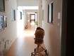 Bán căn hộ 901   kđt mới linh đàm, hoàng mai  trung tâm bán đảo linh...