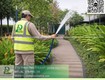 Dịch vụ cưa cây cắt cỏ đồng nai cưa hạ cây,...
