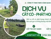 Dịch vụ cắt cỏ cưa cây long đức long thành đồng nai