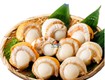 Mua cồi sò điệp hấp ở đâu ngon kinh nghiệm chọn nơi uy tín...