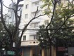 Cho thuê tầng 2,3 p. xuân la làm trung tâm giáo dục, trung tâm tiếng anh, văn phòng...
