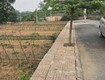 Bán đất thổ cư trung giã  hà nội, 100m, mt5.8, 740 triệu, gần hồ du lịch, ô...