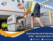 Dịch vụ vận chuyển   trung chuyển trọn gói thú cưng đến úc uy...