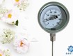 Đồng Hồ Nhiệt Độ Yamaki 0 350 C Dùng Để Làm Gì  Đặc Điểm, Ứng Dụng Và...