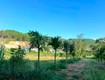 Cần bán đất 309m có 209m thổ cư, 2 mặt tiền giữa thung...