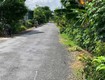 Chính chủ cần bán lô đất SẦU SÁU HỮU TẠI CỒN TÂN PHONG   Tiền Giang 