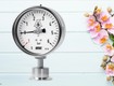 đồng hồ áp suất màng wise p752s là gì ưu điểm, dải đo và...